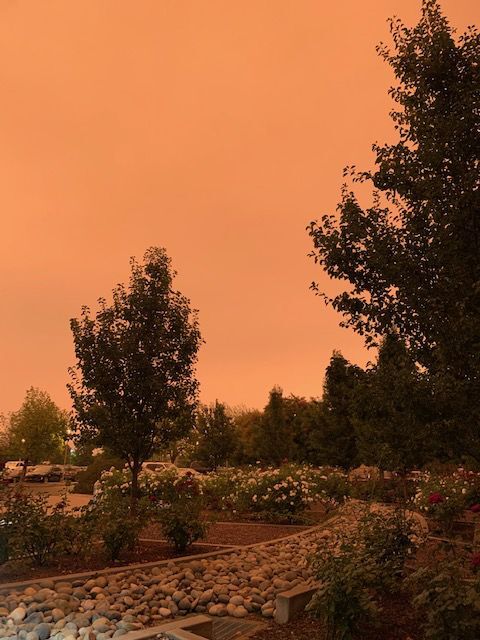 Skies over Napa County